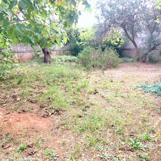 AGENCE BARRYS IMMOBILIER : Terrain | FRONTIGNAN (34110) | m2 | 150 000 € 