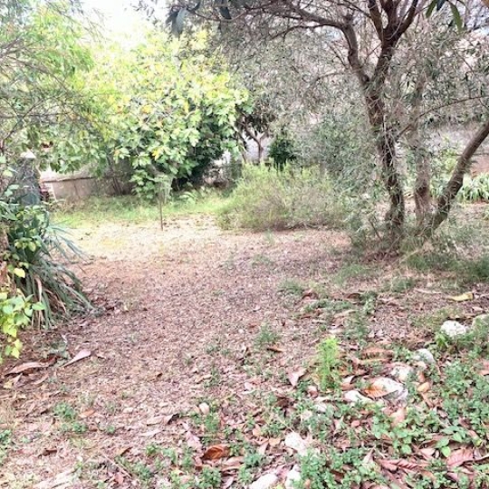  AGENCE BARRYS IMMOBILIER : Terrain | FRONTIGNAN (34110) | 0 m2 | 150 000 € 