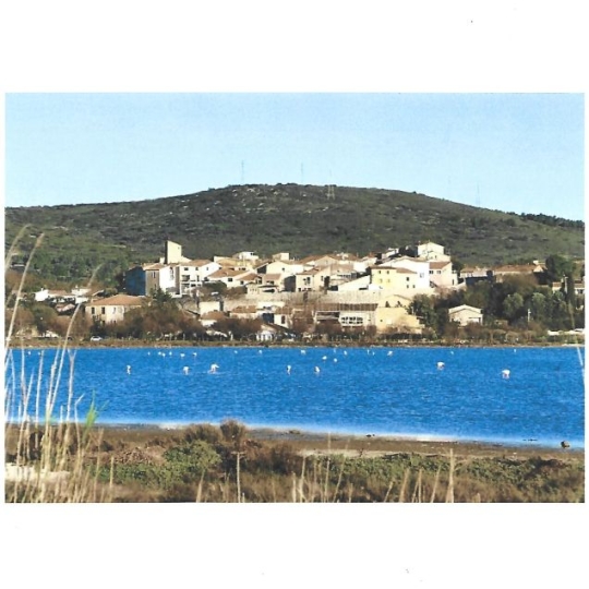 AGENCE BARRYS IMMOBILIER : Maison / Villa | BALARUC-LE-VIEUX (34540) | m2 | 349 000 € 