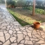  AGENCE BARRYS IMMOBILIER : Maison / Villa | FRONTIGNAN (34110) | 100 m2 | 290 000 € 