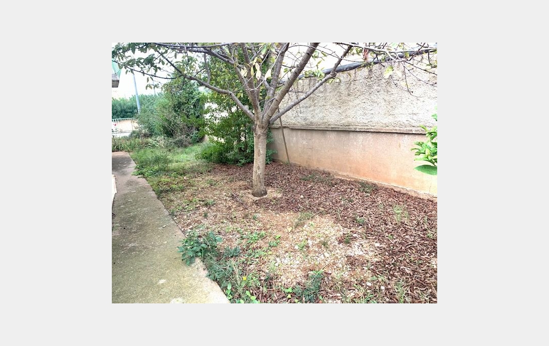 AGENCE BARRYS IMMOBILIER : Terrain | FRONTIGNAN (34110) | 0 m2 | 150 000 € 