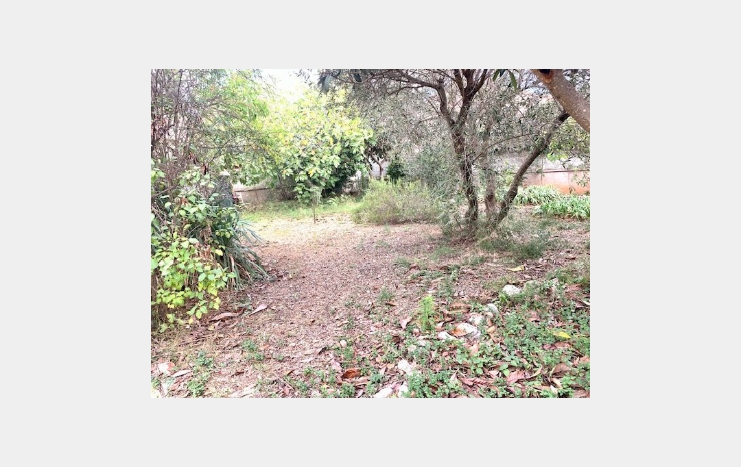 AGENCE BARRYS IMMOBILIER : Terrain | FRONTIGNAN (34110) | 0 m2 | 150 000 € 
