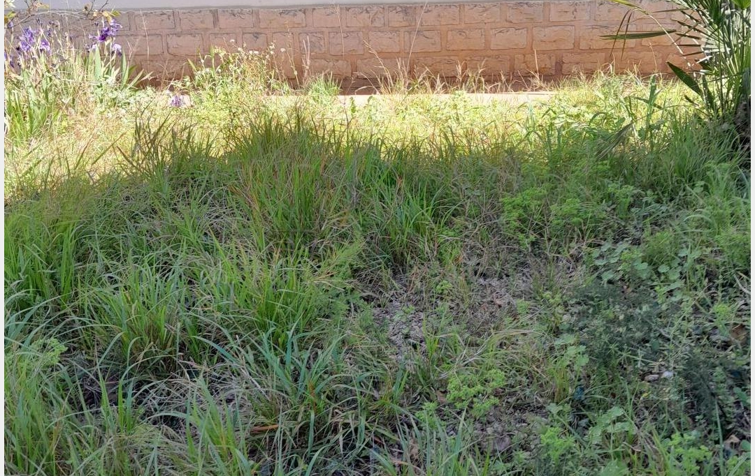 AGENCE BARRYS IMMOBILIER : Apartment | FRONTIGNAN (34110) | 83 m2 | 150 000 € 