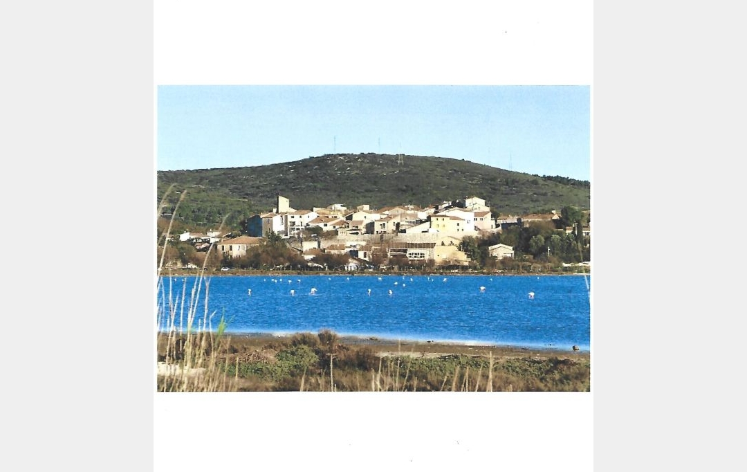 AGENCE BARRYS IMMOBILIER : Maison / Villa | BALARUC-LE-VIEUX (34540) | 0 m2 | 349 000 € 