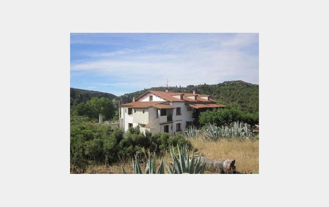 AGENCE BARRYS IMMOBILIER : Domaines / Propriétés | TAUTAVEL (66720) | 2 028 m2 | 850 000 € 