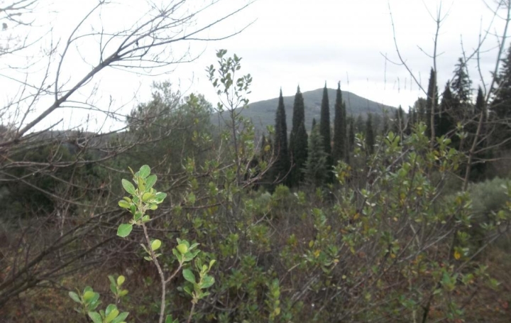 AGENCE BARRYS IMMOBILIER : Domaines / Propriétés | LODEVE (34700) | 300 m2 | 550 000 € 