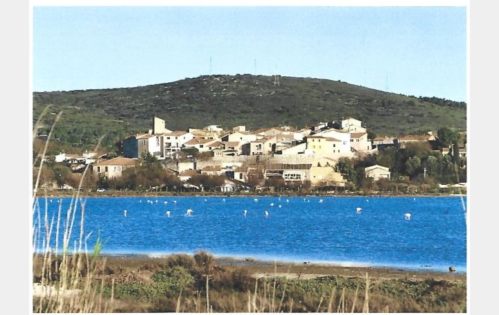  AGENCE BARRYS IMMOBILIER Maison / Villa | BALARUC-LE-VIEUX (34540) | 0 m2 | 349 000 € 