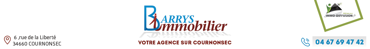 AGENCE BARRYS IMMOBILIER